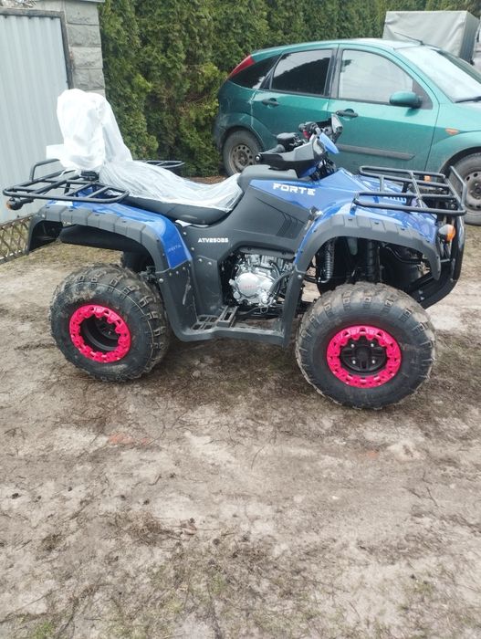 Квадрик форте ATV-250BS
