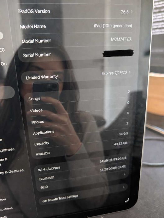 iPad 10 64 Gb Gray (Apple Guarantee)