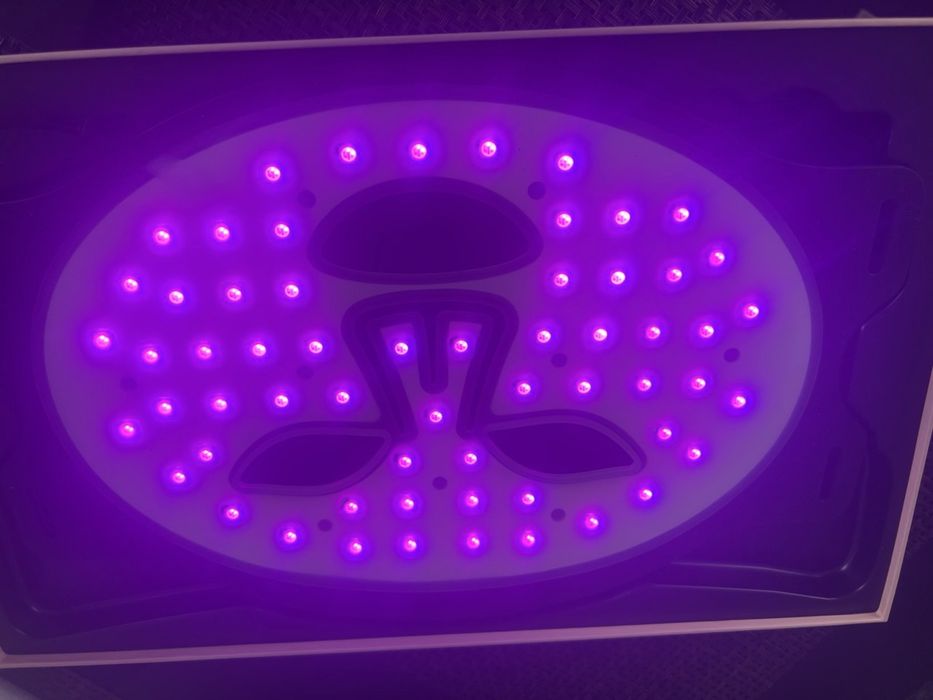 Maska LED do twarzy terapia światłem czerwone niebieskie