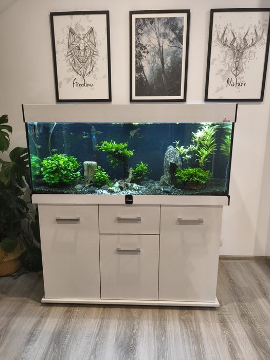 Akwarium DIVERSA 300L