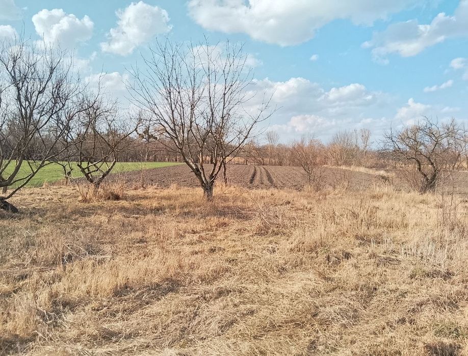 Земельна ділянка