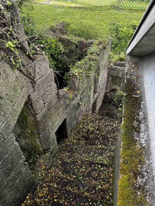 Limpezas Terrenos Florestais e Agrícolas
