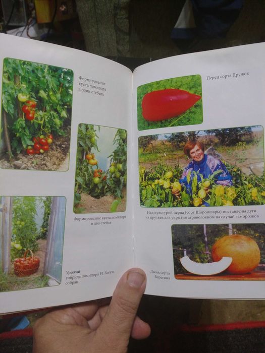 Парники и теплицы книга