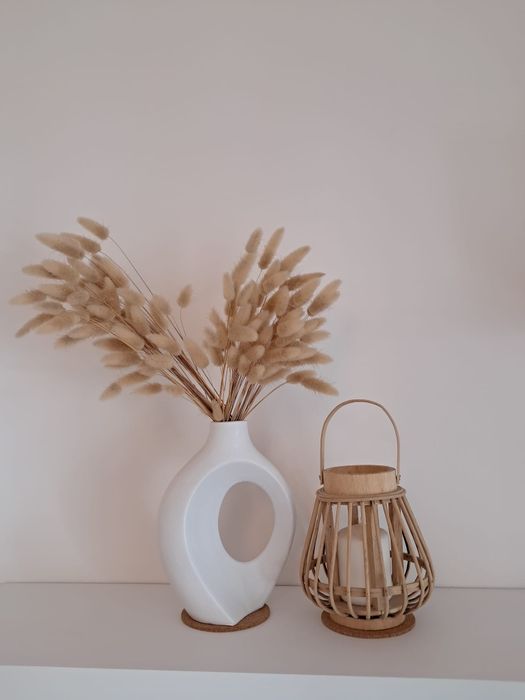 Plantas secas  (natural)