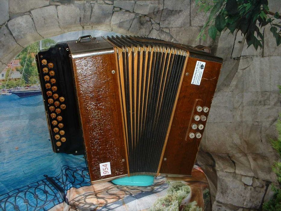 Promoção de Acordeões de concertinas p