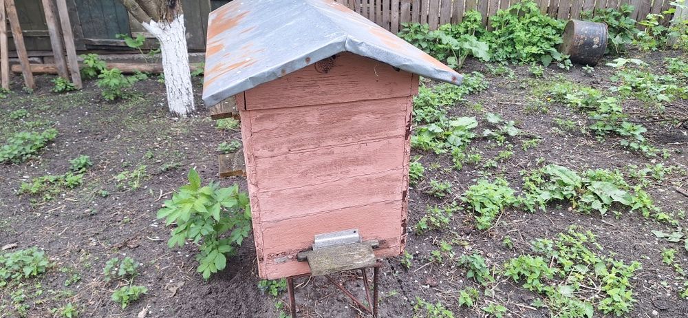 Вулики українки не дорого