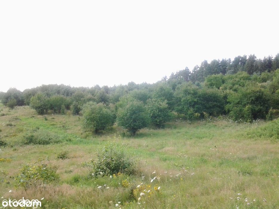 Atrakcyjne Dzialki w okolicy jeziora Gamerki – další