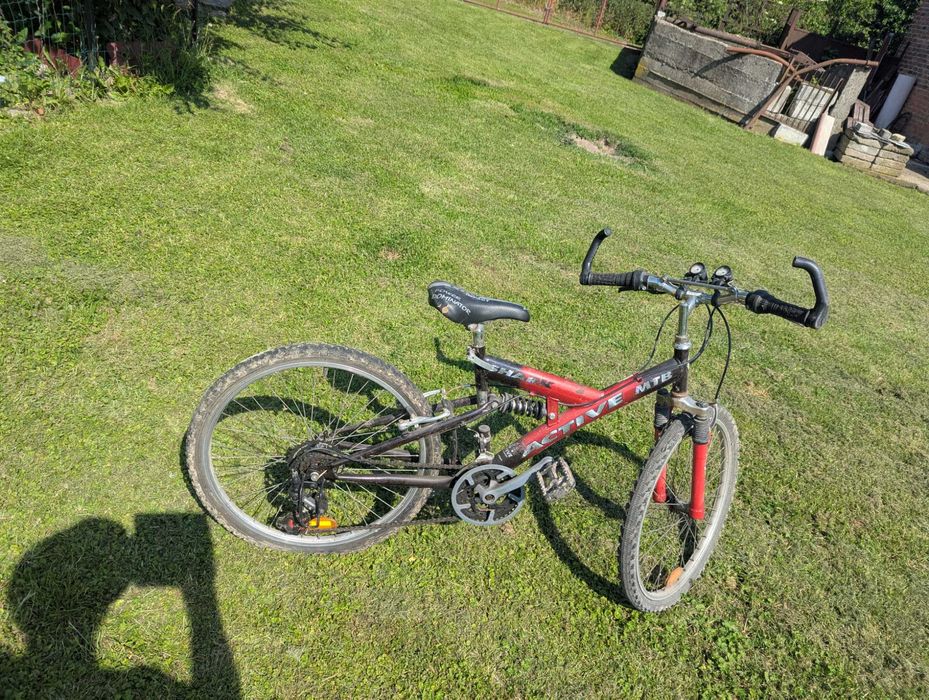 Rower sprawny koła 24