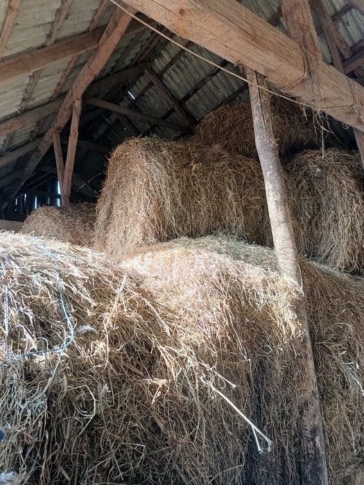 Siano Słoma bele