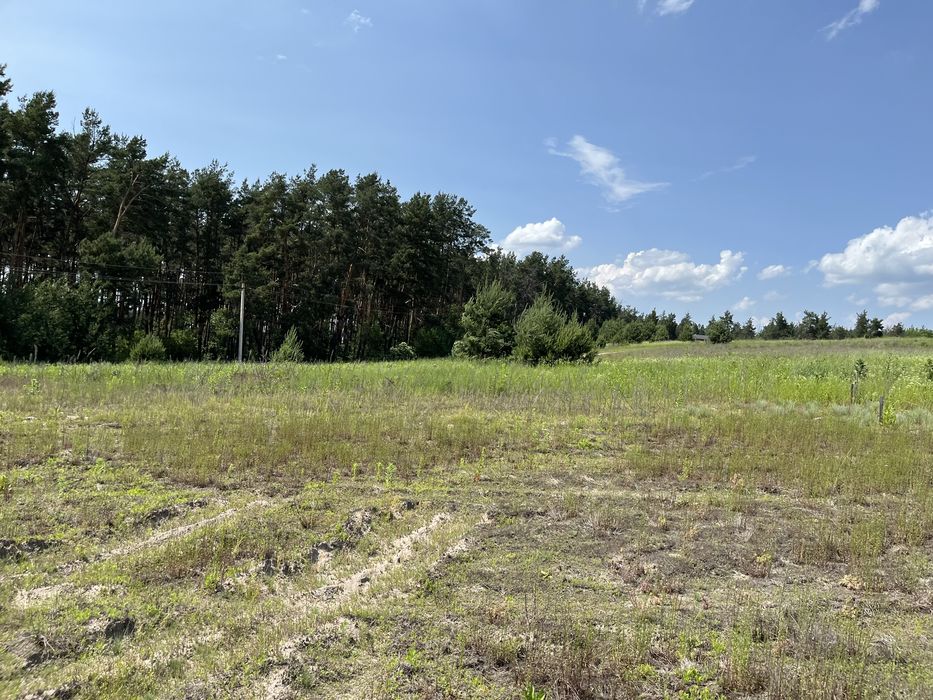 Ділянка біля лісу 10 соток