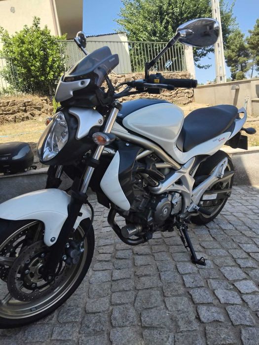 Mota Suzuki Gladius SFV