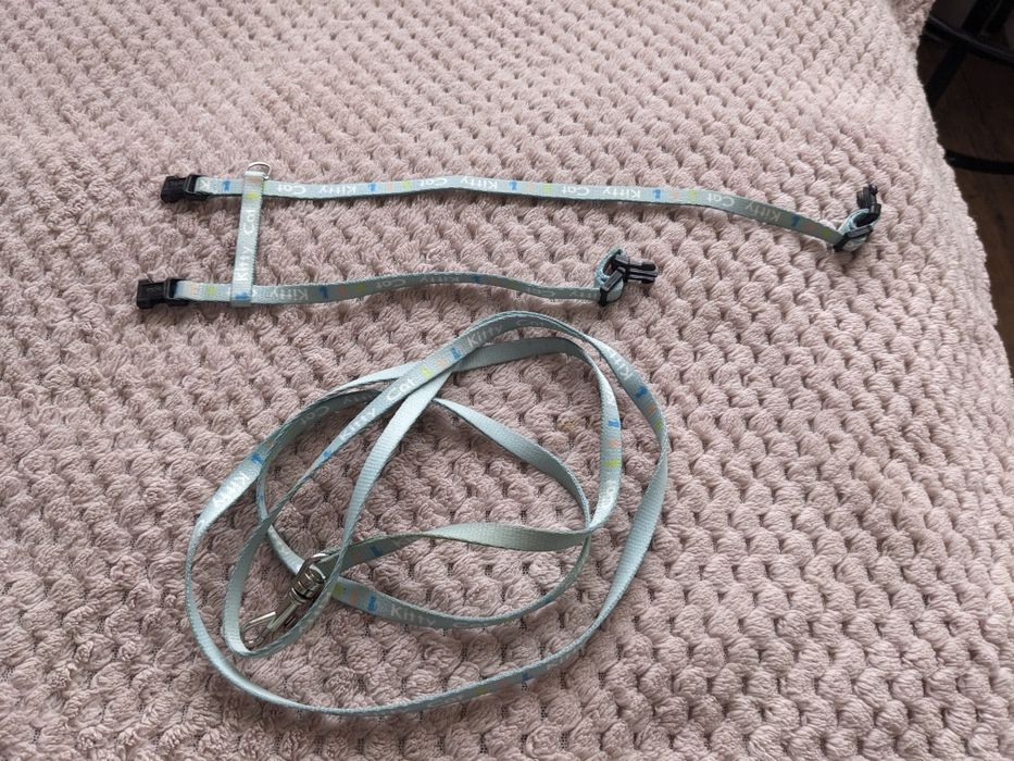 Шлея і повідець для вигулу кошеняти