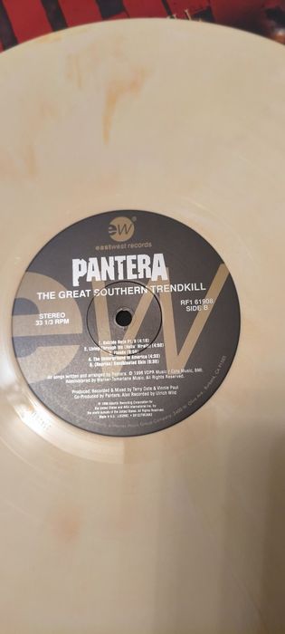 Pantera the great southern trendkill винил.