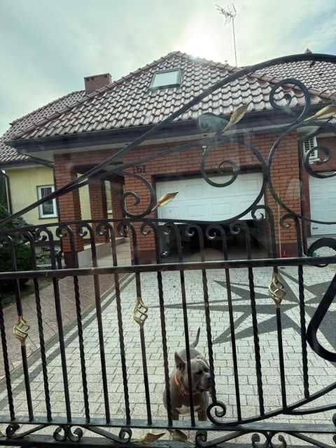 Dom na działce 1000m Nowe Grabie