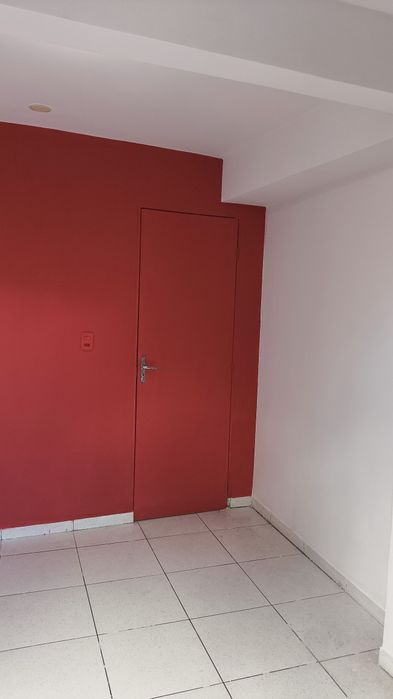 Pintor profissional404655012483573762