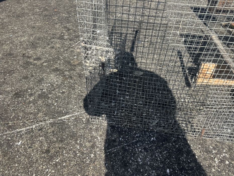 3 gaiolas  para aves