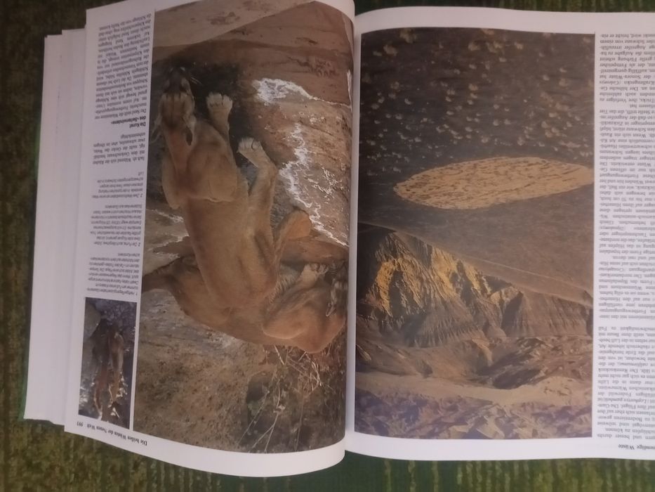 Енциклопедія Тваринний світ