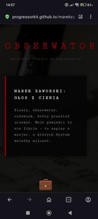 Vibe Web Studio,Strona Internetowa Szyta na Miarę - Różne Style - Glas