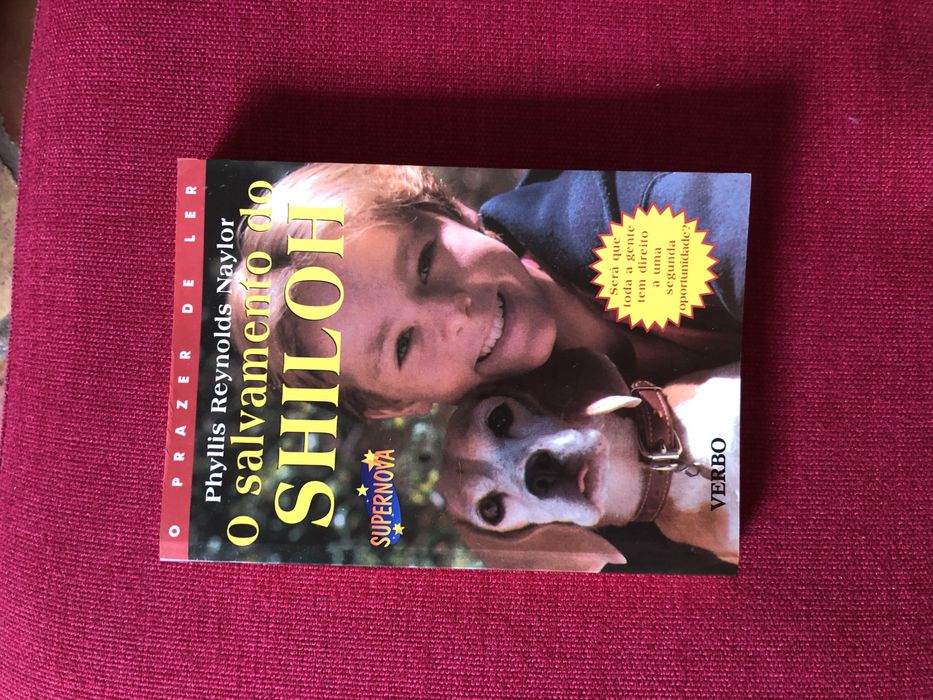 O salvamento de Shiloh