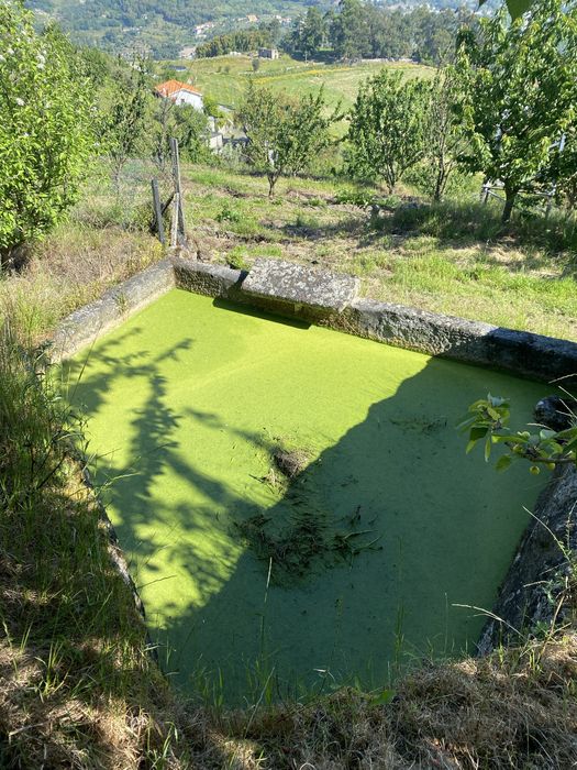 Quinta do Valado Zona do Douro Resende
