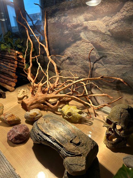 Terrarium 140x60x50 + szafka | pełne wyposażenie.