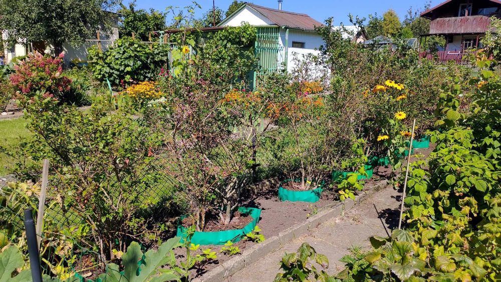 Sprzedam działkę ogrodową ROD