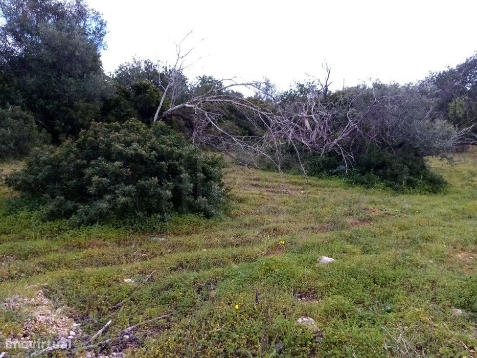 Terreno Rustico com 1394 m2, Loulé, Algarve