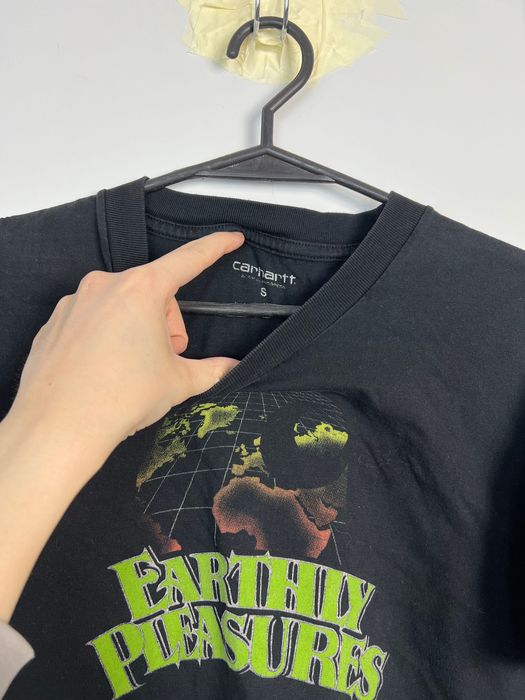 Koszulka Carhartt Earthly Pleasures S/S