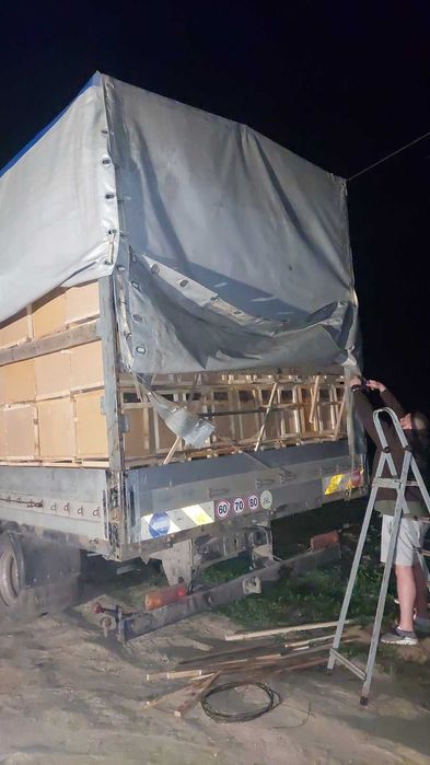 Бджолопакети,пчелопакети