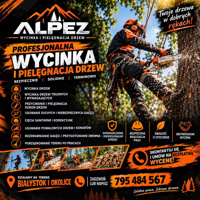 Wycinka i pielęgnacja drzew  (trudnych)