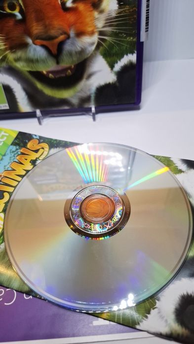 Kinect animals PL