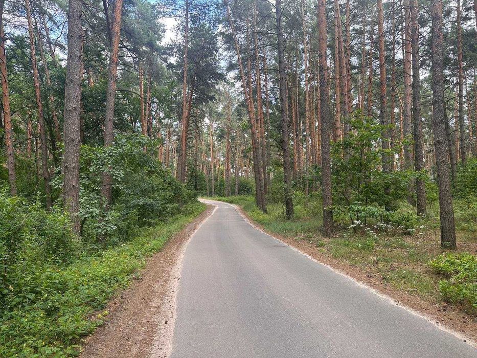 ЗЕМЕЛЬНА ДІЛЯНКА біля Києва з виходом на річку на воду вихід до Дніпра  12 сот. біля води  50 хв від Києва недорого краєвид Бориспільський рн