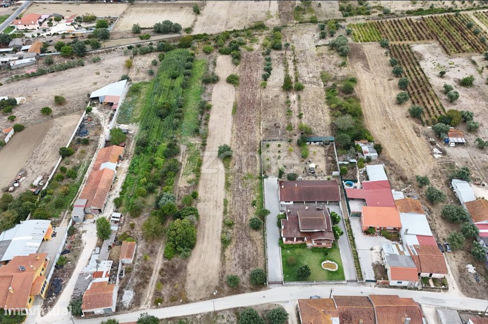 Terreno Cadima
