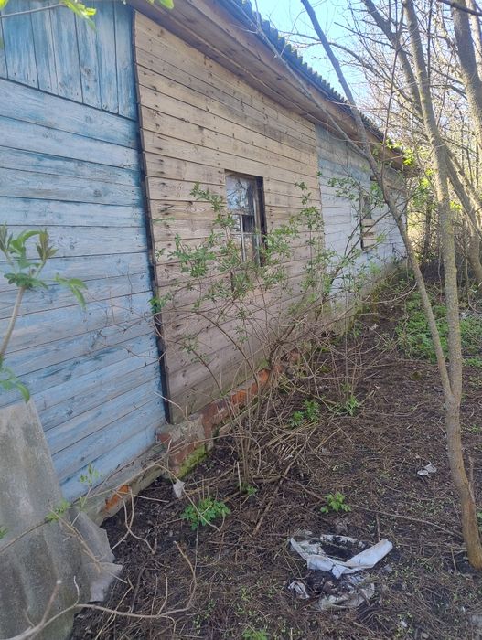 Продам будинок  в селі Чапліївка
