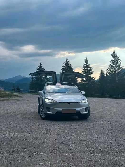 Tesla Model X 100D 2019