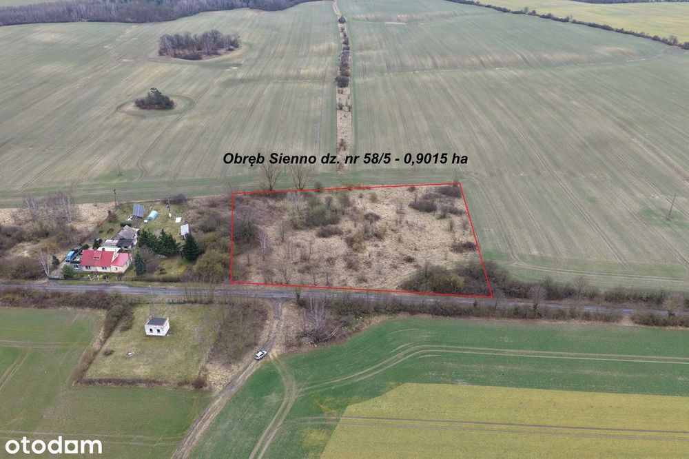 Działka inwestycyjna  9015 m² na sprzedaż