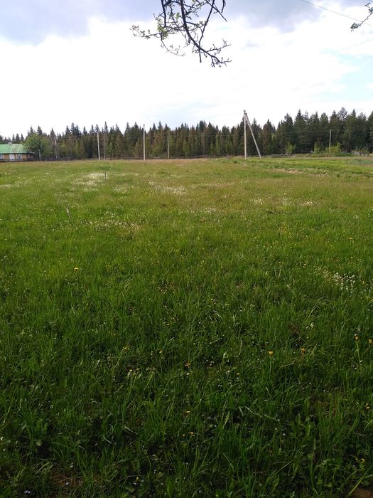 ДУЖЕ ДЕШЕВА ЗЕМЛЯ в найчистішій екологічній місцевості Прикарпаття !