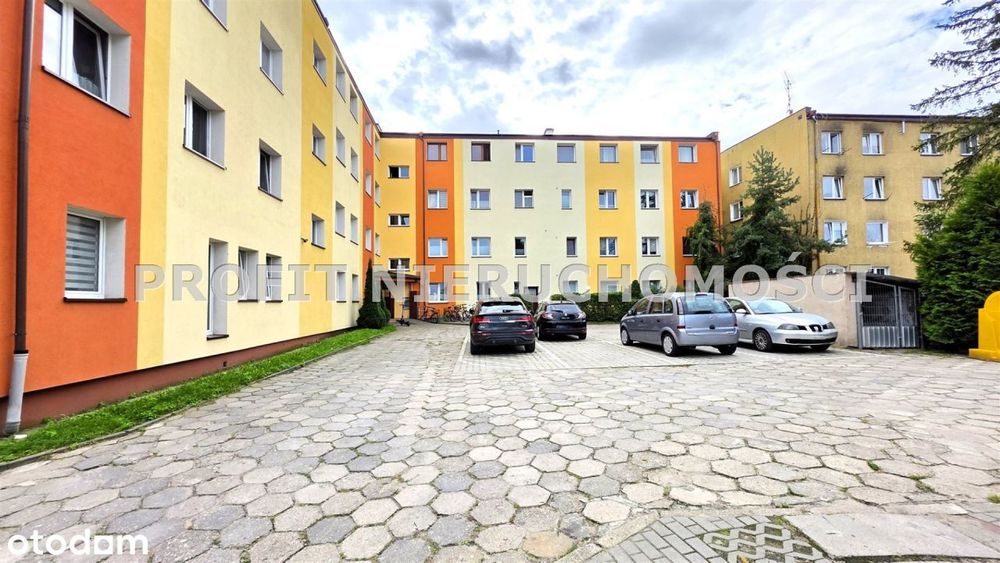 Przytulne mieszkanie w super lokalizacji - Widok 4