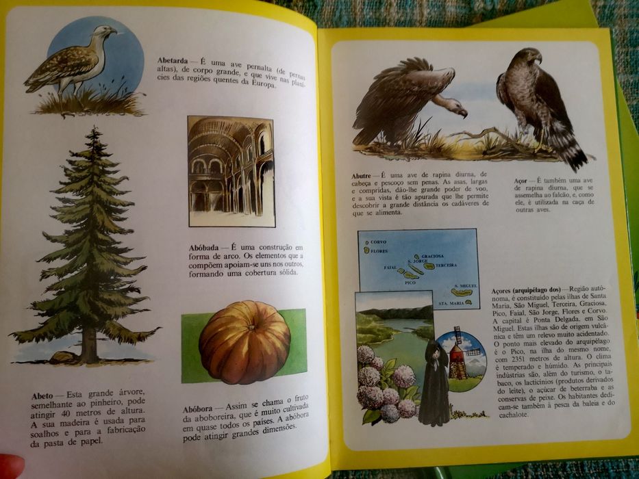 Enciclopédia infantil ilustrada