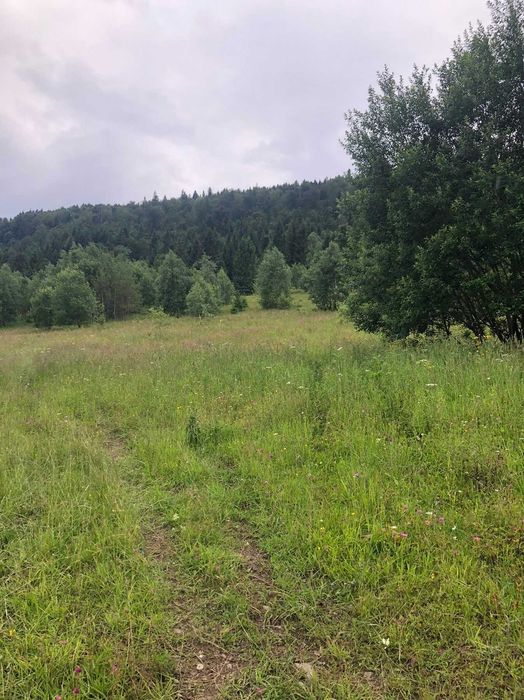 Ділянка, 60сот-5га, с.Буковець,Верховинського р-ну, Івано-Франк. обл.