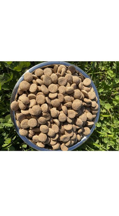 Корм сухий Thank'Q Standard із яловичиною для дорослих собак .