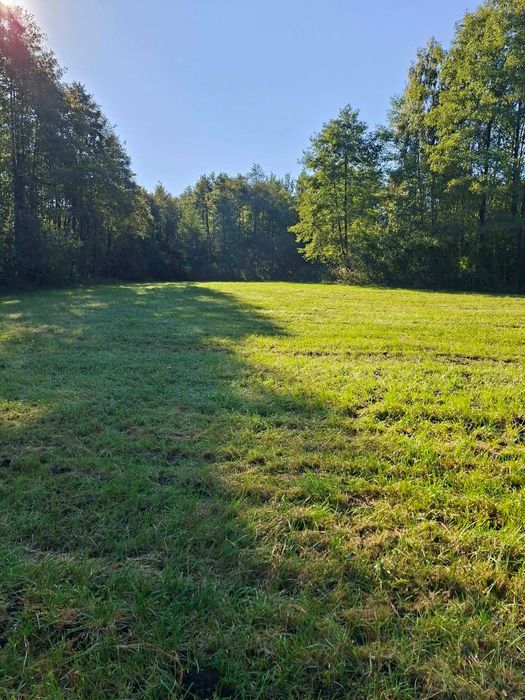 Grunty rolne 0,98ha - Widok 4