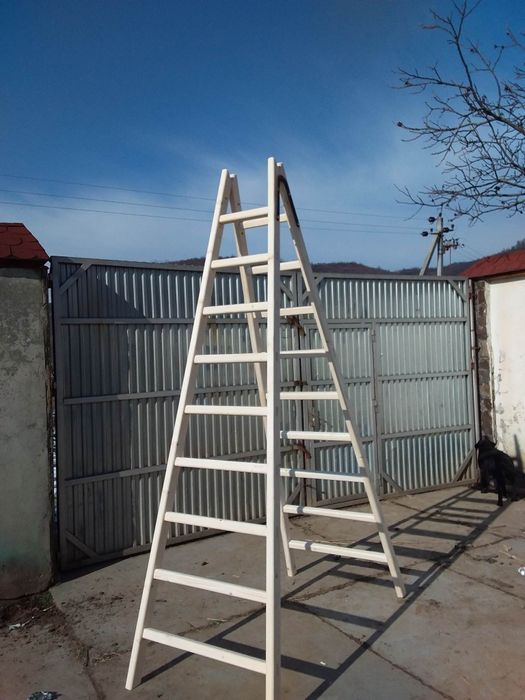 Драбина із дерева