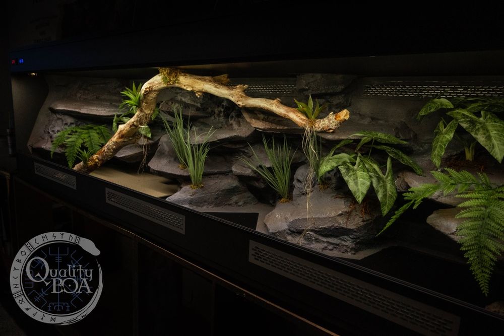 Ogromne terrarium 250×60×70. NOWE !