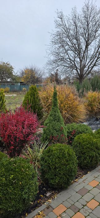 Продам Дом ,дачу,Эсхаре