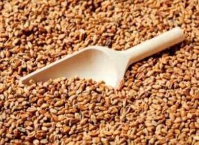 Maltes para fabrico de cerveja artesanal.