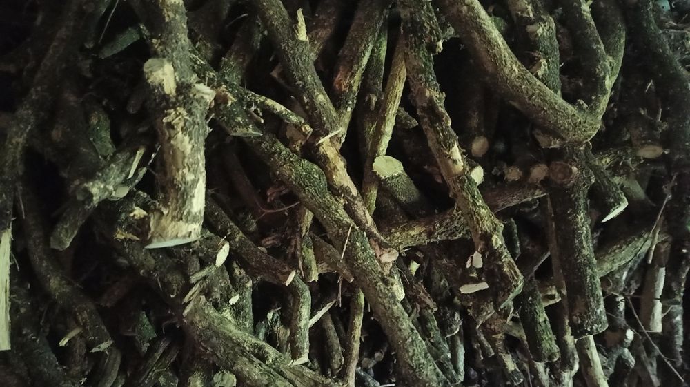 Продам самшит (деревина)