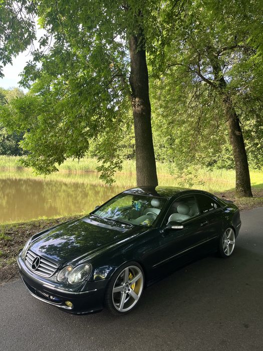 Mercedes Benz W209