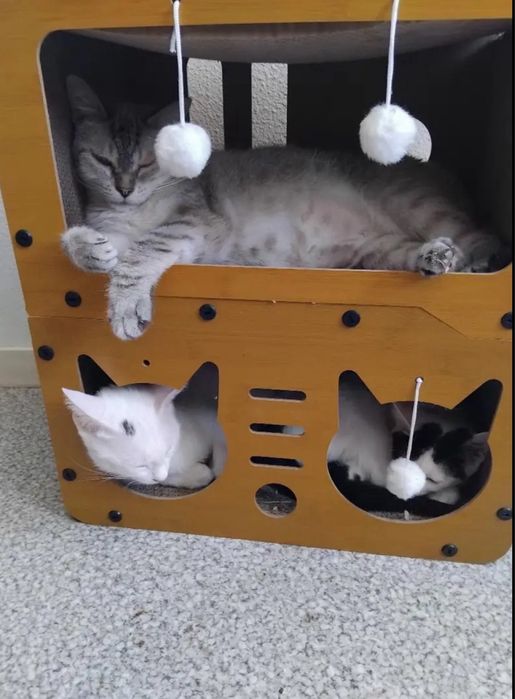 Когтеточка кошачий домик игровая 2 этажа