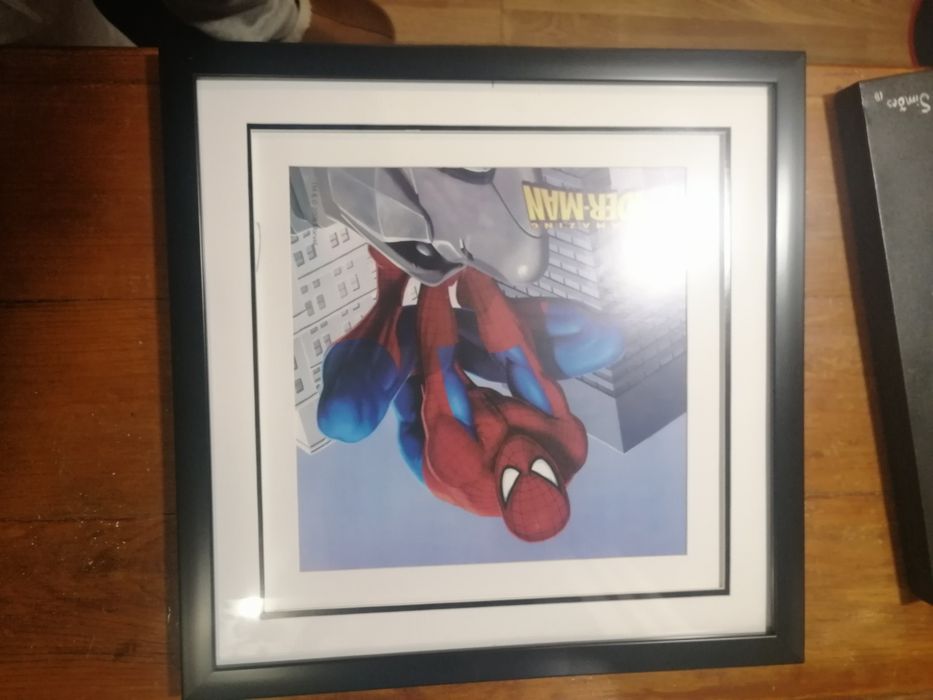 Moldura Spider-Man 50cm por 50 cm